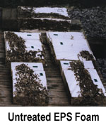 Untreated EPS